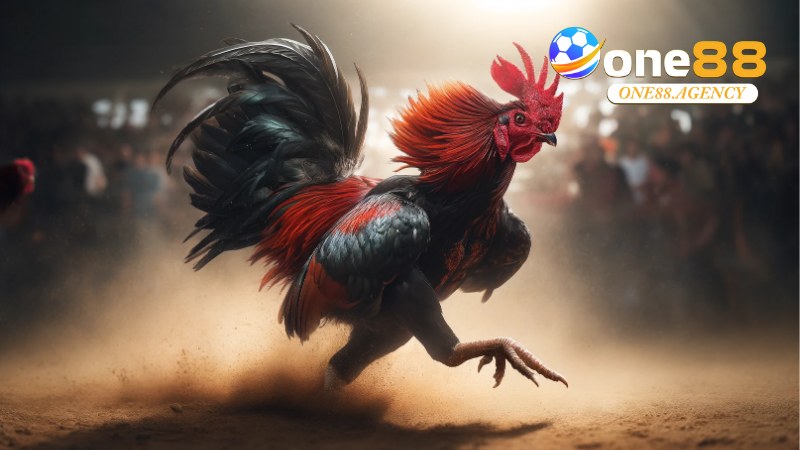 Đá Gà Cựa Dao: Trải Nghiệm Đỉnh Cao Và Bí Quyết Chơi Thắng Tại One88 1 Đá Gà Cựa Dao